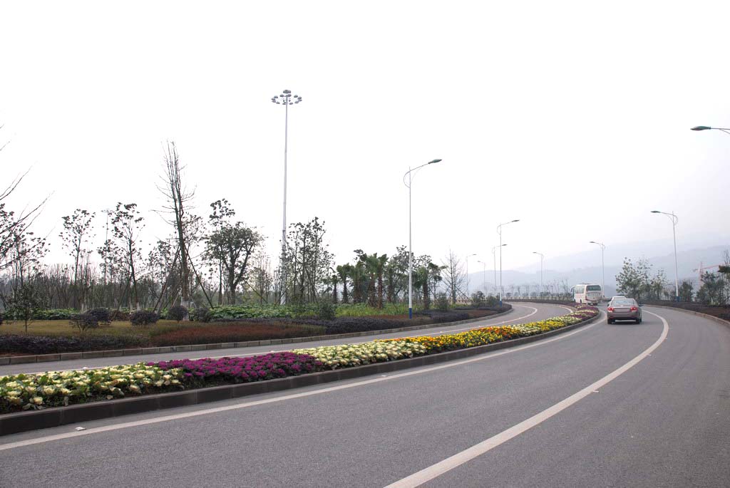 長沙縣開元路開元路綠化工程